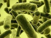 Qué son y cómo funcionan los antibióticos