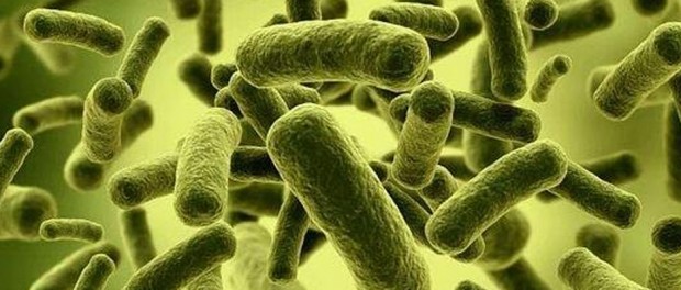 Qué son y cómo funcionan los antibióticos